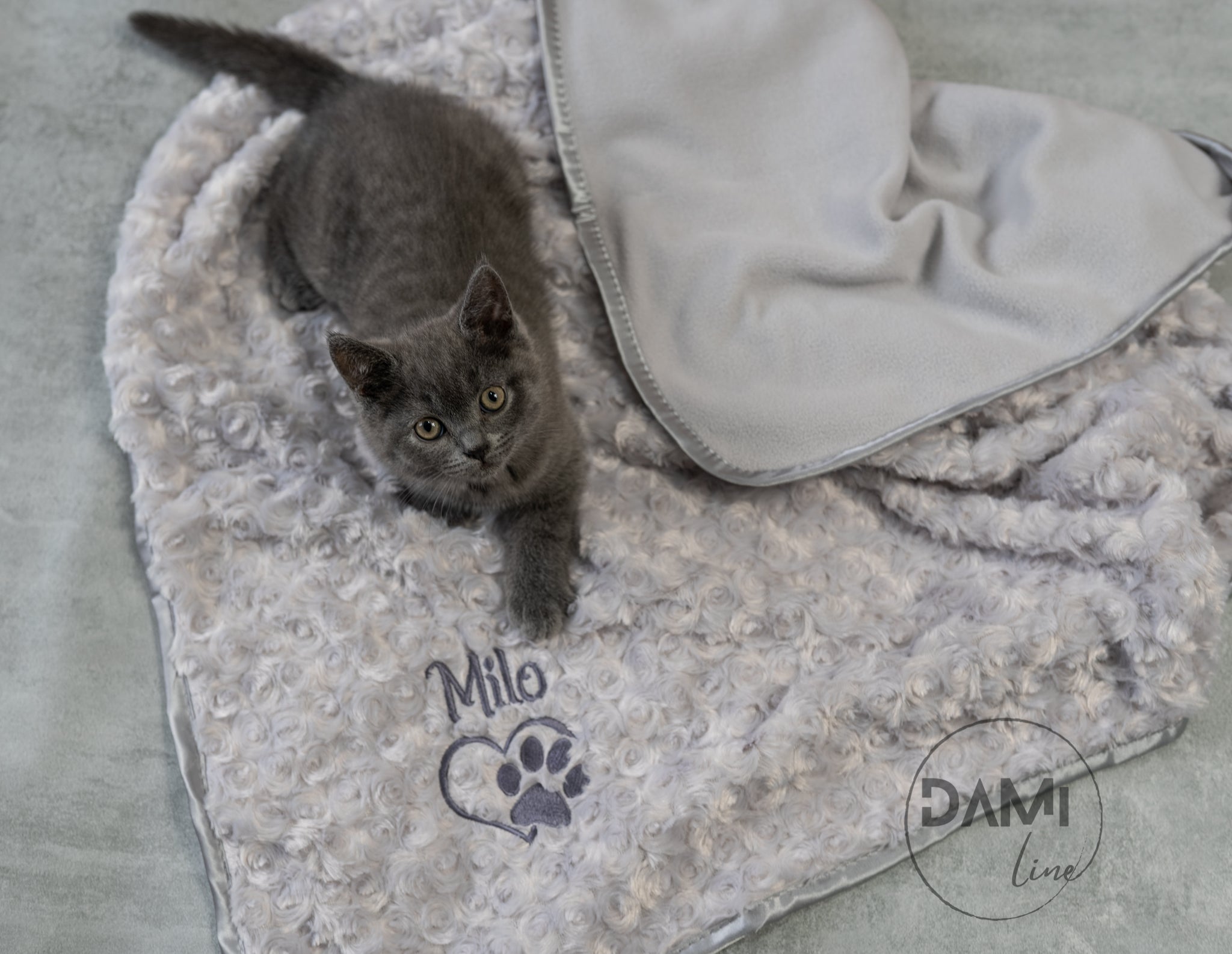 Personalised discount kitten blanket